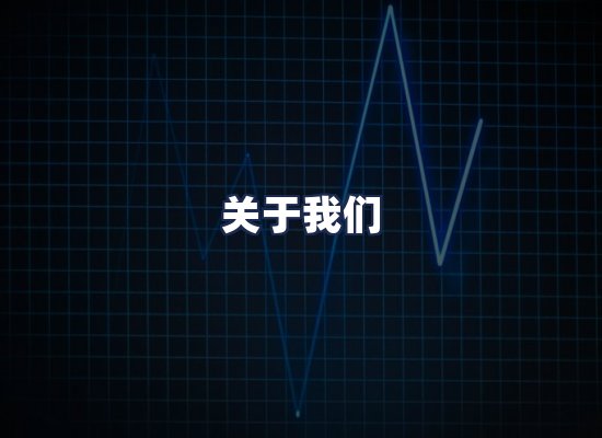 关于我们